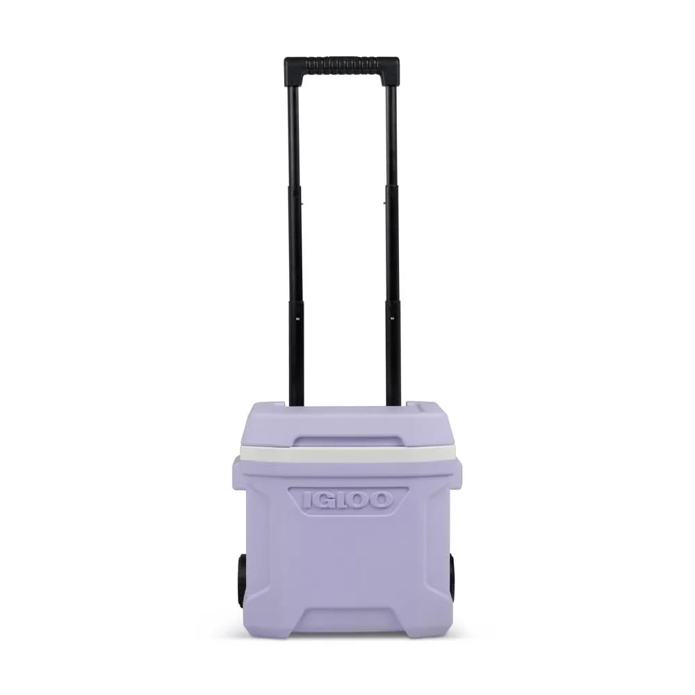 Igloos Cooler Hard-Sided Ice Chest, Insulated Portable Cooler, Heavy-Duty, Leak-Resistant Lid, Lightweight Ergonomic Handle (Lilac, 16 Quart)