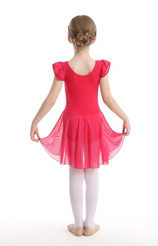 Girls Ballet Leotard with Skirt - Flutter Sleeve Tutu Outfit for 4-6 Years Rose