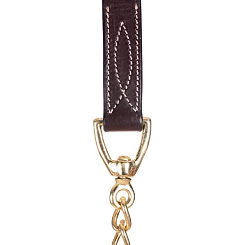 Leather Horse Lead Shank with Brass Chain - 65" Chocolate Brown, One Size