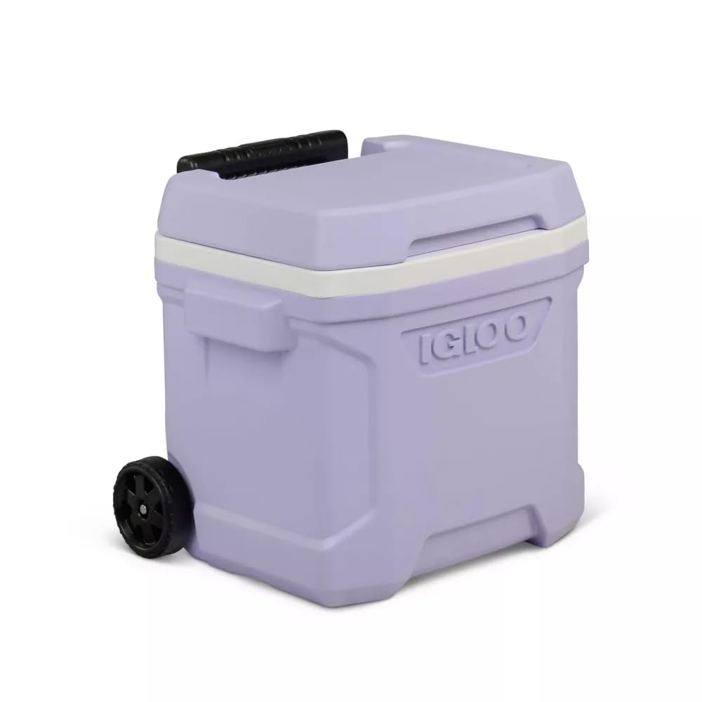 Igloos Cooler Hard-Sided Ice Chest, Insulated Portable Cooler, Heavy-Duty, Leak-Resistant Lid, Lightweight Ergonomic Handle (Lilac, 16 Quart)