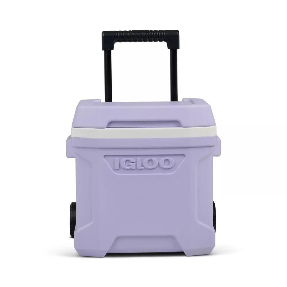 Igloos Cooler Hard-Sided Ice Chest, Insulated Portable Cooler, Heavy-Duty, Leak-Resistant Lid, Lightweight Ergonomic Handle (Lilac, 16 Quart)
