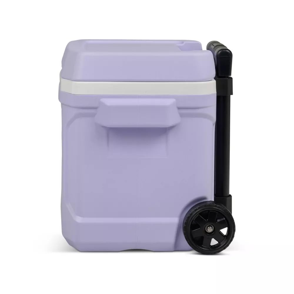 Igloos Cooler Hard-Sided Ice Chest, Insulated Portable Cooler, Heavy-Duty, Leak-Resistant Lid, Lightweight Ergonomic Handle (Lilac, 16 Quart)