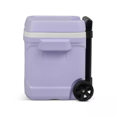 Igloos Cooler Hard-Sided Ice Chest, Insulated Portable Cooler, Heavy-Duty, Leak-Resistant Lid, Lightweight Ergonomic Handle (Lilac, 16 Quart)