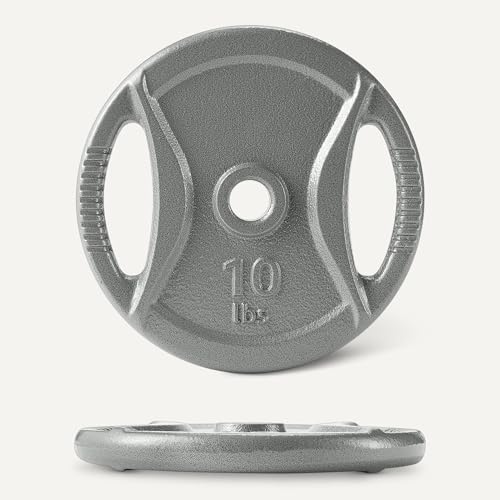 10 lb Cast Iron Weight Plates Set with Grip Holes - 4 Pieces, 1 Inch Barbell Compatible