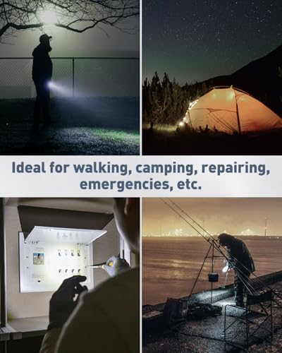 Multicolor LED Keychain Flashlight 5 Pack Mini Portable 14 Lumen Outdoor Light