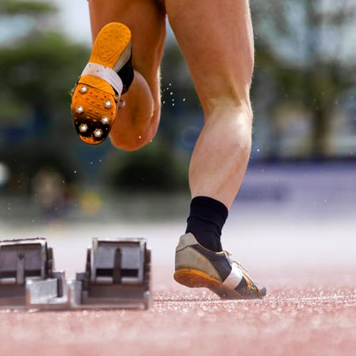 1/4 Inch Track Spikes Pack of 240 with Spike Wrench & Storage Box - Steel Cross Country Spikes
