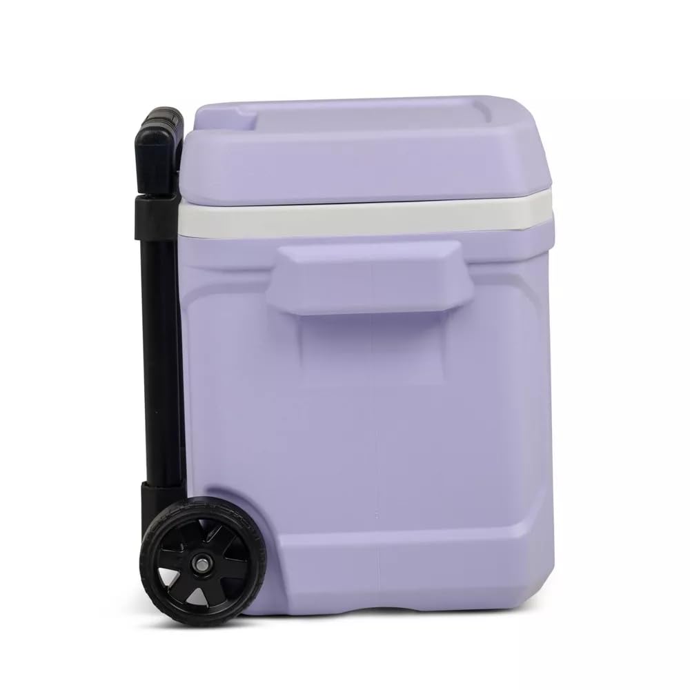 Igloos Cooler Hard-Sided Ice Chest, Insulated Portable Cooler, Heavy-Duty, Leak-Resistant Lid, Lightweight Ergonomic Handle (Lilac, 16 Quart)