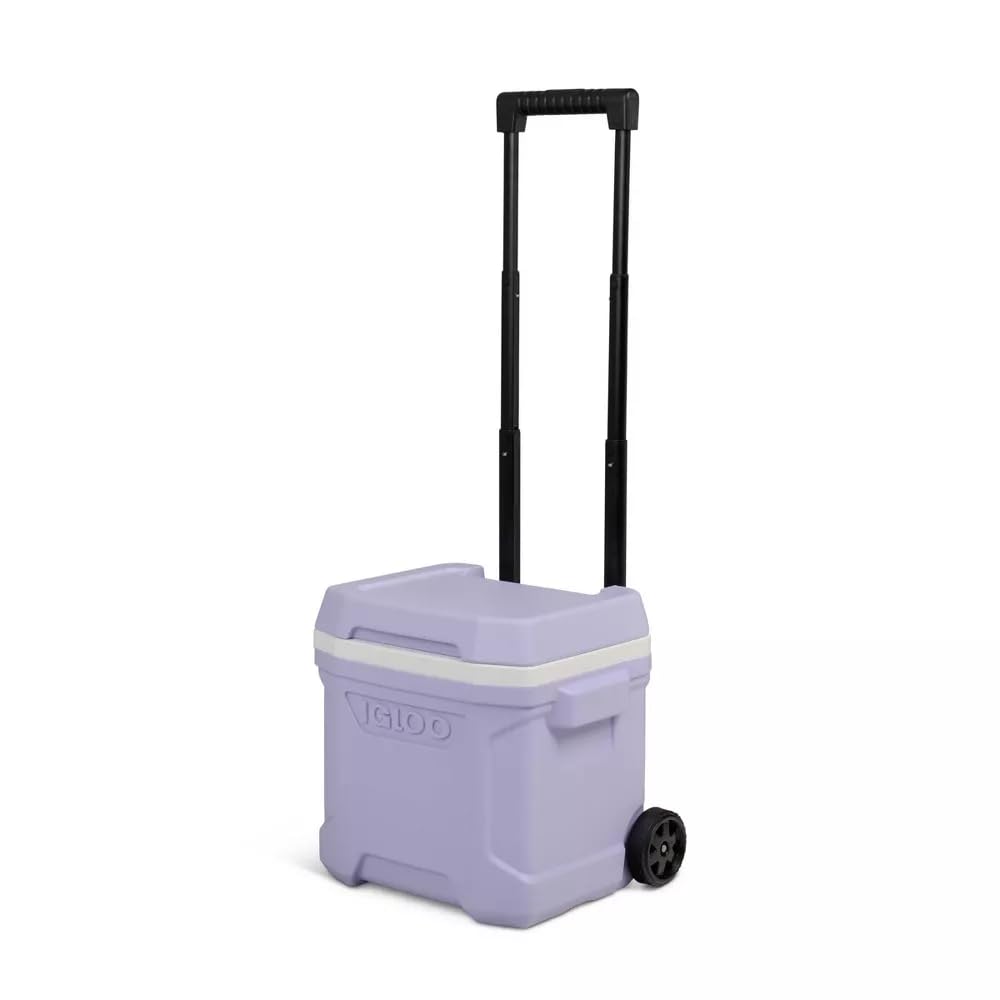 Igloos Cooler Hard-Sided Ice Chest, Insulated Portable Cooler, Heavy-Duty, Leak-Resistant Lid, Lightweight Ergonomic Handle (Lilac, 16 Quart)