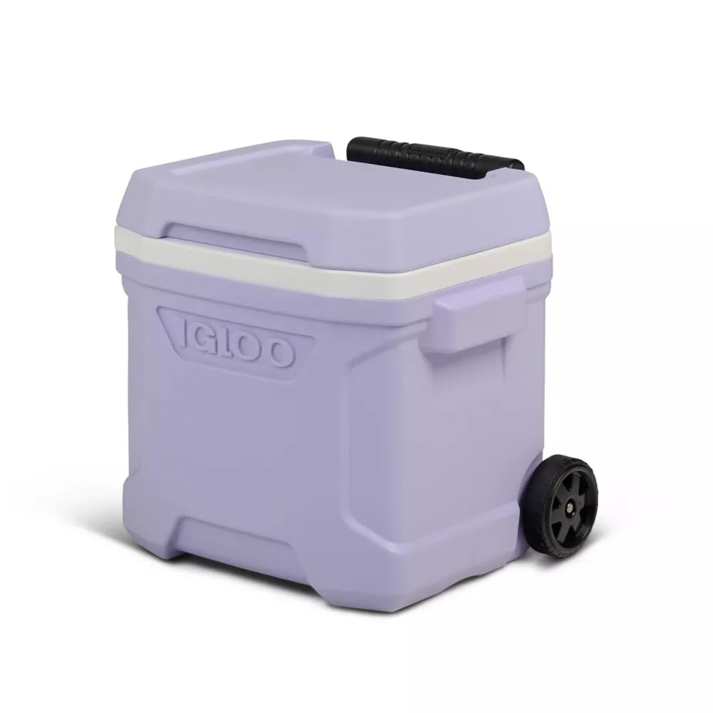 Igloos Cooler Hard-Sided Ice Chest, Insulated Portable Cooler, Heavy-Duty, Leak-Resistant Lid, Lightweight Ergonomic Handle (Lilac, 16 Quart)