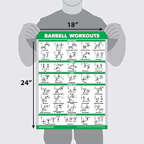 Palace Learning QUICKFIT Barbell Workout Exercise Poster - (Laminated, 18in x 24in) for Kids Room