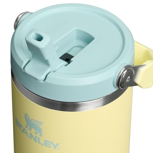 Stanley IceFlow 2.0 Flip Straw Tumbler with Handle 30 oz | Twist On Lid and Flip Up Straw | Leak Resistant Water Bottle | Insulated Stainless Steel | BPA-Free | Pomelo