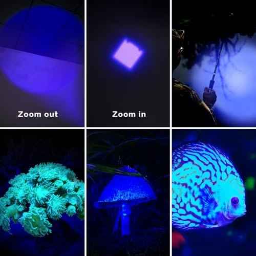 3 Pack Multi-Colored Light Flashlight Set: Red, Green, Blue LED Flashlights for Night Activities, Optical Effects