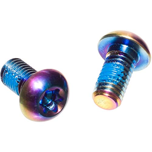 SRAM Titanium T25 Rotor Bolt Kit - Rainbow, Set of 12