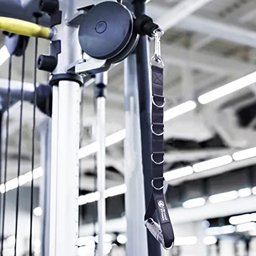 Heavy Duty Aluminum Gym Handles with 5D-Ring Adjustable Connection - One Pair