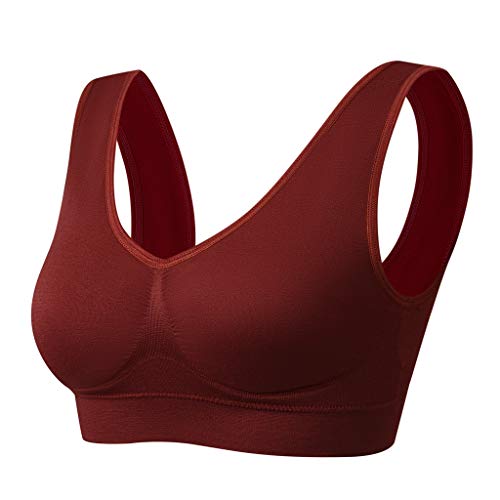 Vermilion Bird Women's 3 Pack Seamless Sports Bras with Removable Pads XX-Large Black Grey Ink Blue Orchid Truffle