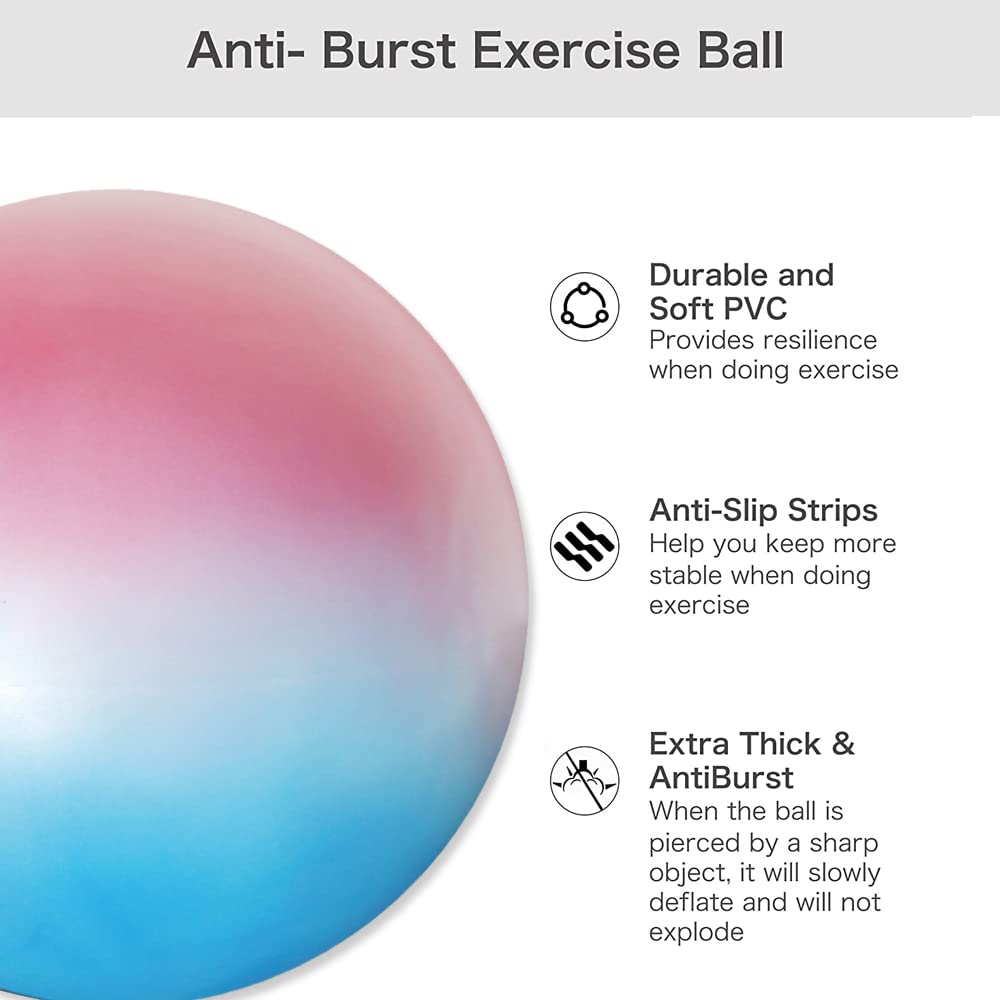 NEUMEE 65cm Exercise Ball with Pump, Anti-Burst Non-Slip Stability Ball for Yoga Pilates Balance Workout Pregnancy and Physical Therapy Home Office Use