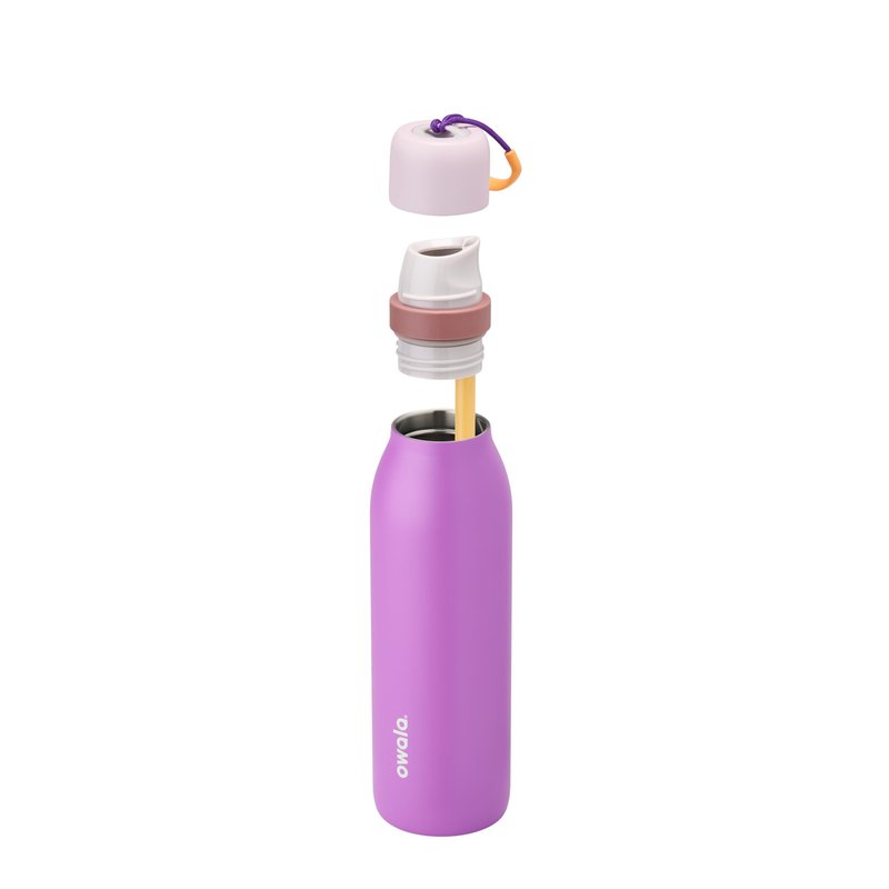 Owala FreeSip Twist Insulated Stainless Steel Water Bottle with Straw for Sports and Travel, BPA-Free, 18-oz, Purple (California Grapevine)