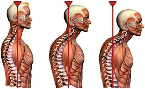 24Seven Wellness & Living Back Pain Relief DVD, Natural Prevention of Lower, Upper, Neck and Sciatic Pain. A Yoga and Pilates Based Stretch Program That Could Potentially Change Your Life!