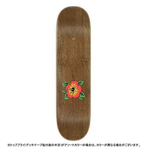 Santa Cruz 8.0 Screen HIBISCUS BIRCH DECK