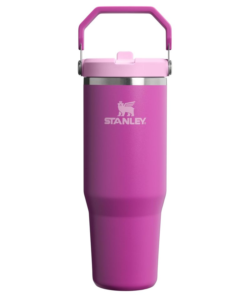 STANLEY IceFlow 2.0 Flip Straw Tumbler with Handle 30 oz | Twist On Lid and Flip Up Straw | Leakproof Water Bottle | Insulated Stainless Steel | BPA-Free | Dark Blossom