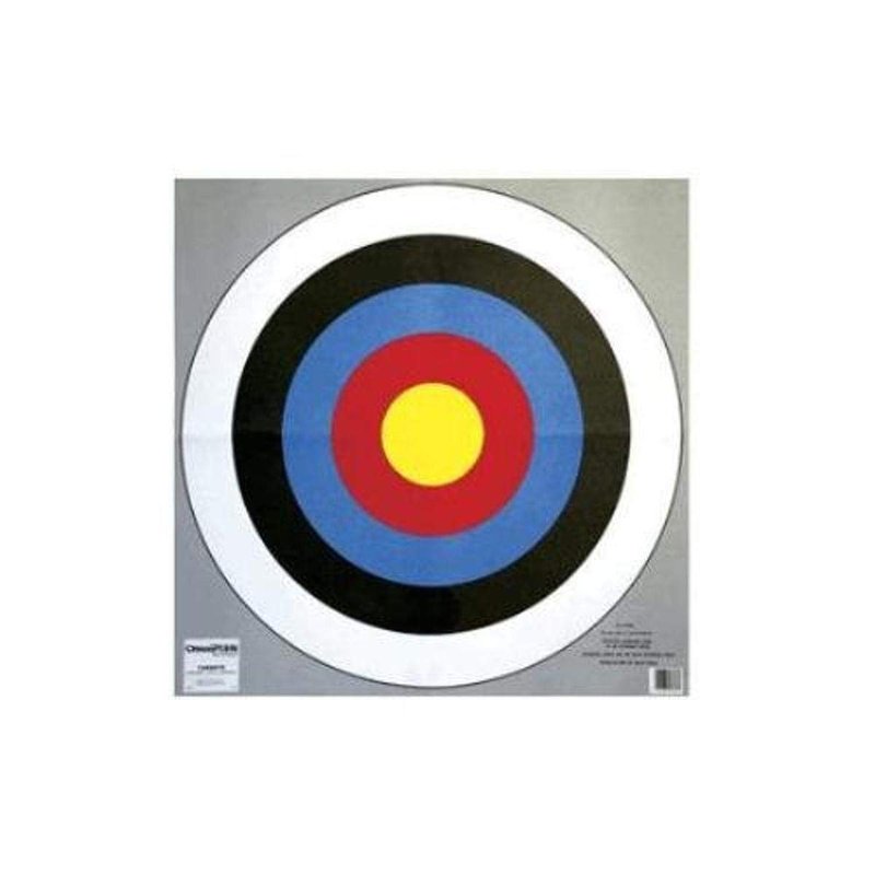 Champion Range and Target Traps and Targets 24-Inch Bullseye Archery Target (2-pack)