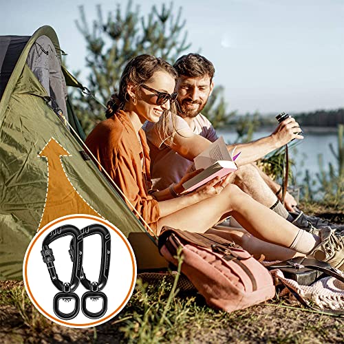 2 Pack Locking Carabiner Clips 2.5" with Swivel & Screw Lock for Pets Camping Hiking