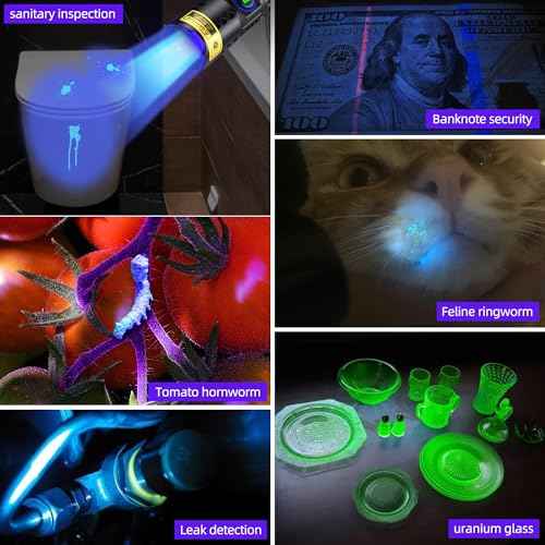 DARKDAWN UV Flashlight 365nm Blacklight £¬Mini USB-C Rechargeable LED with Black Mirror, Woods Lamp Powerful Fluorescent Portable Detector for Pet Urine Stains, Anti-counterfeiting Identification