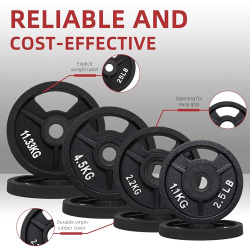 Fitvids Cast Iron 1" Standard Weight Plates Including Standard Barbell Bar & Star Locks, 95 Pounds Set (85 Lbs Plates + 10 Lbs Barbell Bar), Multiple Packages