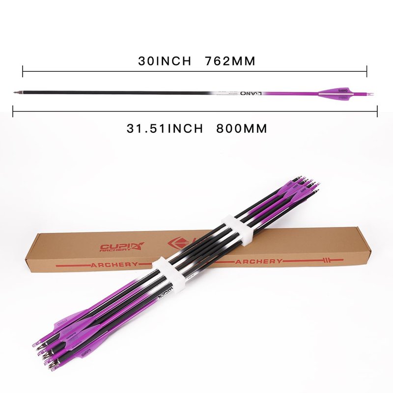 LWANO Carbon Arrow Archery 30inch Hunting Target Practice Arrows for Compound & Recurve Bow Spine 500 with Removable Tips (Pack of 12) (Purple, 31Inch)