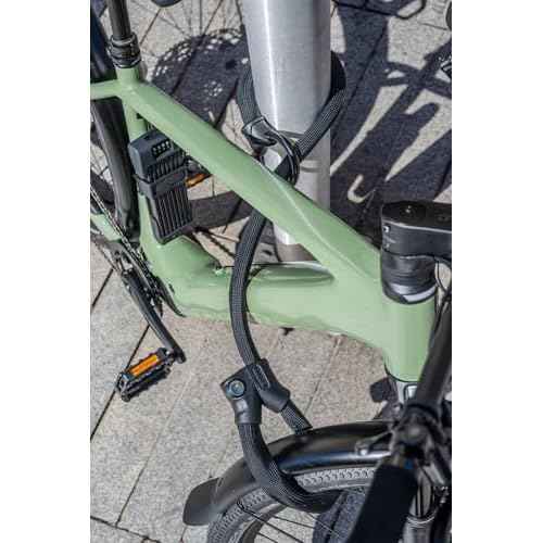 ABUS Chain Lock Infinity Loop 1806 - Flexible Bicycle Lock with 2 Length-Adjustable loopsFor simultaneously securing Several Bicycle Parts, Bicycles or Other Objects - Length 110 cm