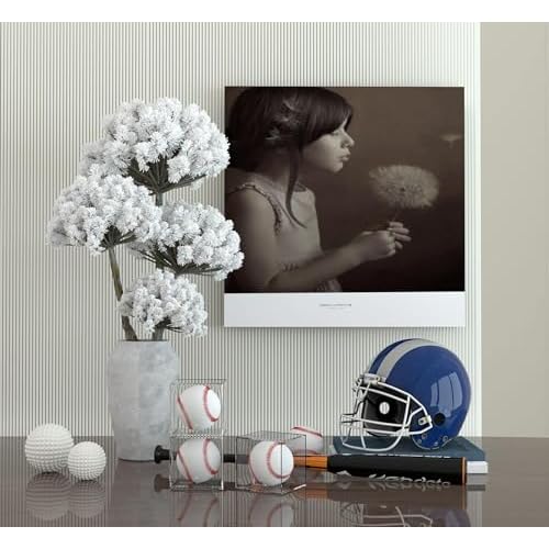 12 Pack Baseball Display Case UV Protected Acrylic Clear Baseball Holder Square Cube Ball Protector Memorabilia Autograph Display Box for Official Size Baseball