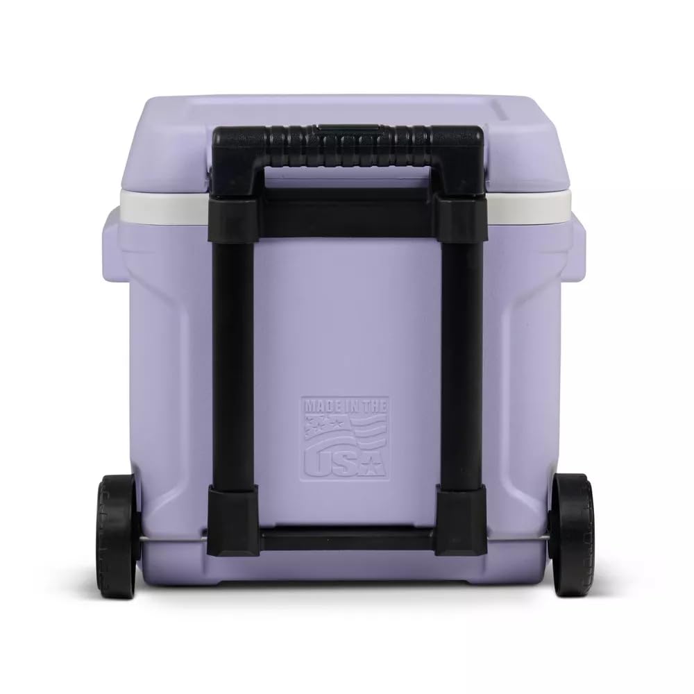 Igloos Cooler Hard-Sided Ice Chest, Insulated Portable Cooler, Heavy-Duty, Leak-Resistant Lid, Lightweight Ergonomic Handle (Lilac, 16 Quart)