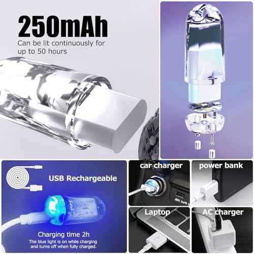 USB Mini LED Lantern, 2 Pack Waterproof EDC Keychain LED Flashlight for Camping, Type-C Rechargeable Battery Small Stick Lamp Puck Dog Collar Torch Light (Warm White+Red)
