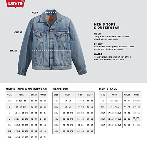 Levi's mens Graphic Hoodie (Also Available in Big & Tall)
