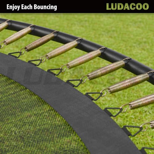 3.5 Inch Trampoline Springs Heavy Duty Stainless Steel Replacement Pack - Swivel & Straight Hooks, T-Hook Tool Included