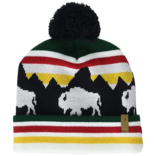 Pendleton Mens Pendleton's Retro Scene Beanie