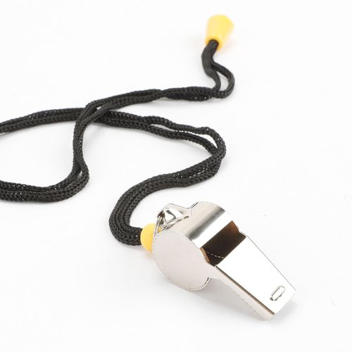 Whistle, Whistle for Coaches, Whistles, Coaches Whistle, Coaches Whistle with Lanyard, Stainless Steel Sports Whistle, Whistle for Teachers, Whistles for Adults, Referee Whistle Loud Crisp Sound 1 Pcs