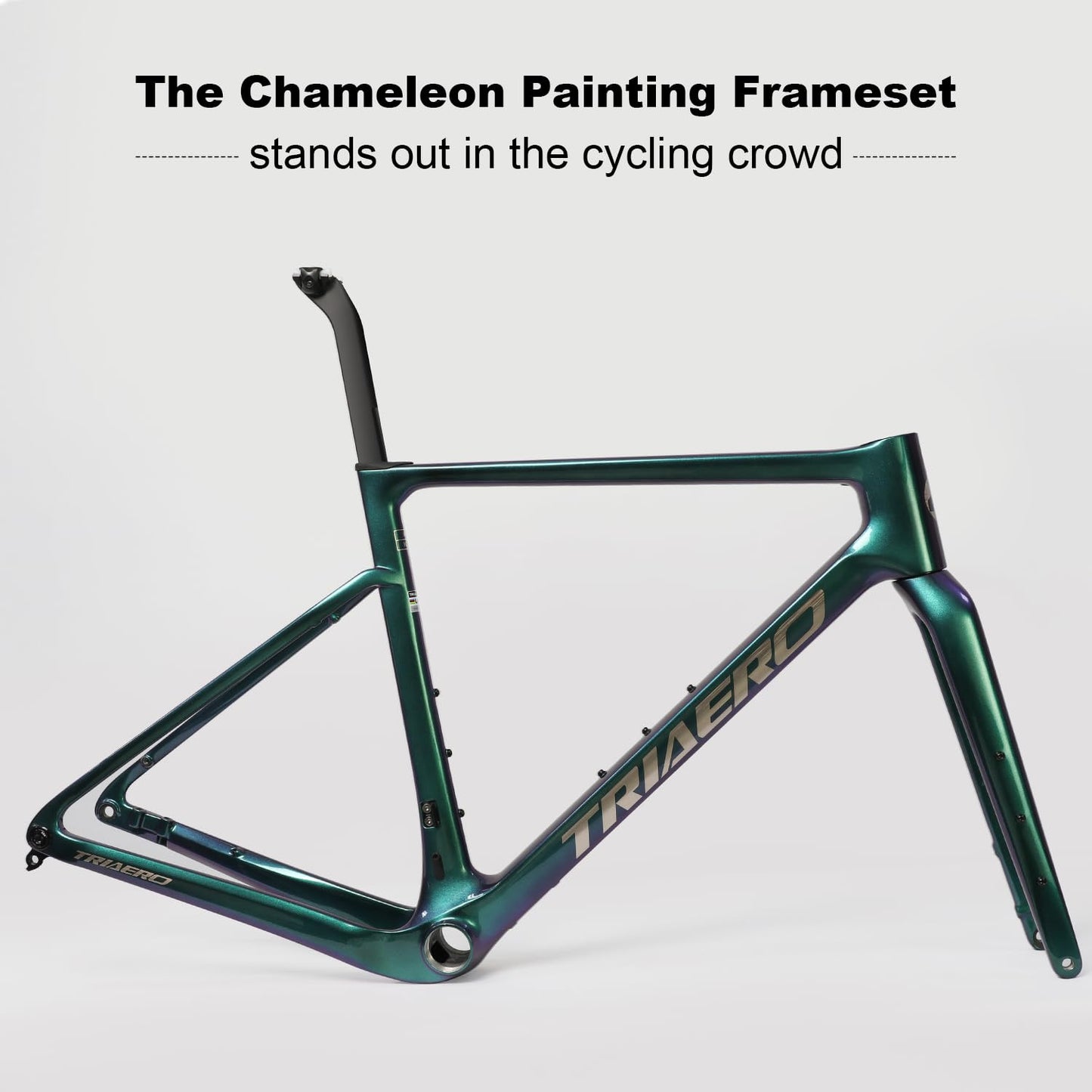 ICAN Graro Carbon Gravel Bike Frameset UCI and UDH Rear Hanger Bottom Bracket T47 49/52/54/56/58cm (Chameleon, 49cm)