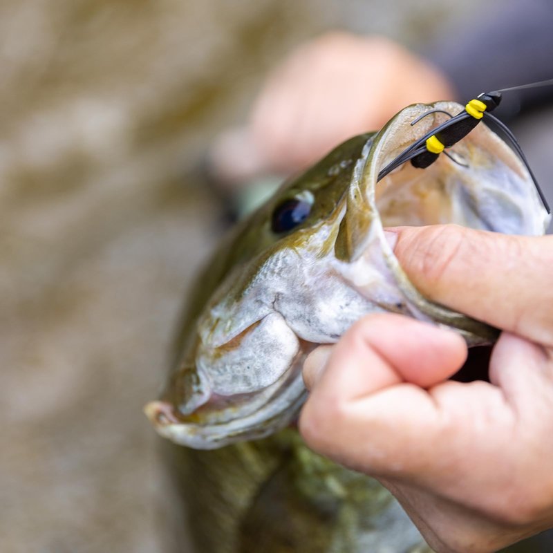 SF Welded Tapered Leader Fly Fishing with Loop Nylon 9ft Fishing Leader (2X 6 Packs)