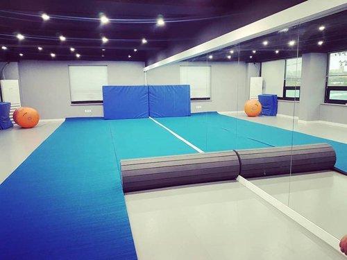 Indoor Gymnastics Track Exercise Mat - Grippy Carpet Top, Sturdy Foam for MMA, Cheerleading, Fitness - Roll Out Design for Easy Setup