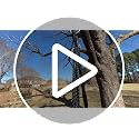 48 Inch Saucer Swing for Kids & Adults - Tree Swing with 900 lb Capacity