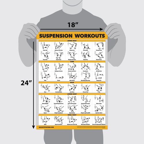 Palace Learning QUICKFIT Suspension Workout Exercise Poster - (Laminated, 18in x 24in), Hallway