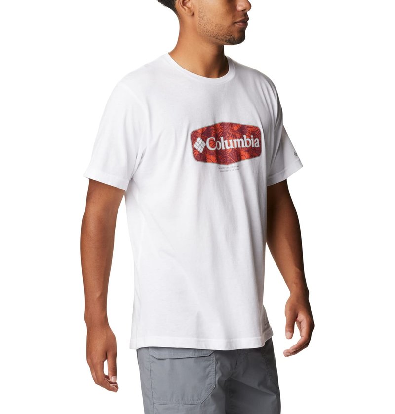 Columbia Men's Thistletown Hills Graphic Short Sleeve, White/Wanderland Graphic, Large