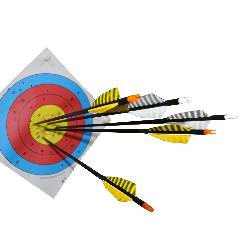 32 Inch Carbon Archery Arrows,Spine 400 with Removable Tips, 4inch Turkey Feather, Hunting and Target Practice Arrows for Compound Bow and Recurve Bow, 6 Pack (Yellow and Black)