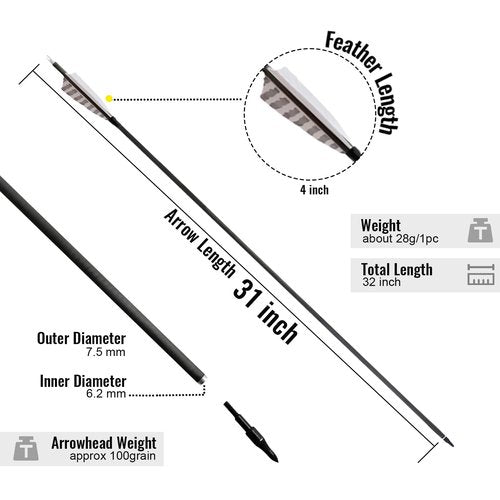 ARCTIRA 31 inch Archery Targeting Feathers Arrows for Recurve Bow Carbon Arrows with Removable Arrowhead for Adult Beginner Target Practice Outdoor Training 6 PCS (White Feathers)