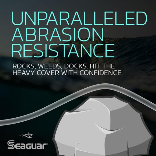 Seaguar STS Trout/Steelhead 100% Fluorocarbon Fishing Line 6lbs, 100yds Break Strength/Length - 06STS100