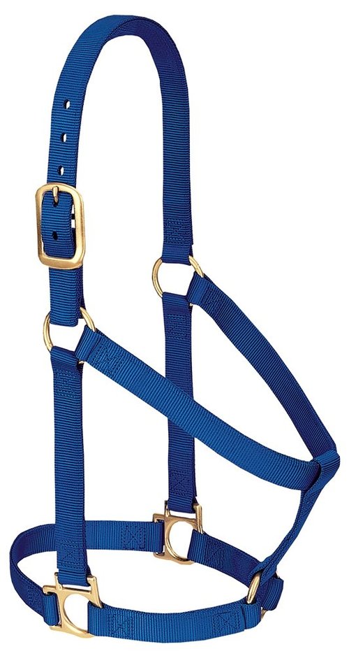 Weaver Equine Nylon Horse Halter, Comfort Double-Ply Webbing, Basic Non Adjustable Halters for Horses, Equine Tack,Average Size, Blue