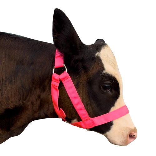 Calf Halter with Leading Rope Adjustable Calf Halter with Leading Rope for Miniature Horse Donkey Goat Foal Nylon Cattle Training Supplies Pink S