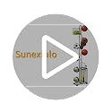 Sunexinlo 7-Tier Freestanding Basketball Storage Rack with Baskets for Indoor/Outdoor Sports Equipment