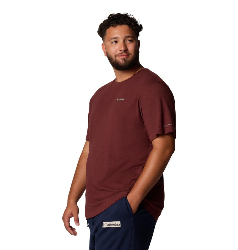 Columbia Men's Thistletown Hills Short Sleeve T-Shirt, Spice Heather, 6X